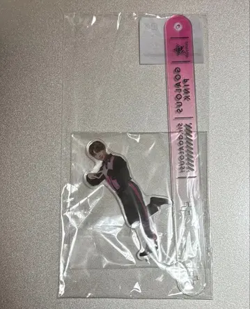 후카마치 토시나리 GOALOUS5 고라스 사진 스틱