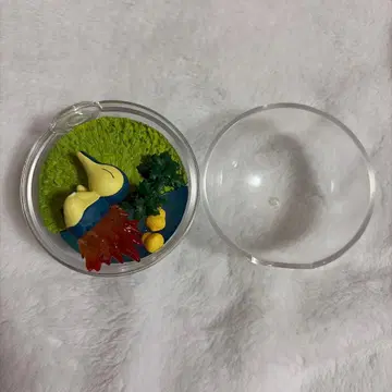 테라리움 컬렉션 포켓몬 히노아라시