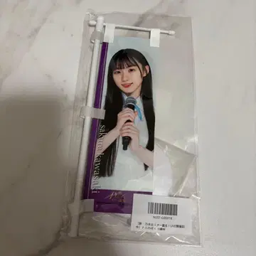 카와사키 사쿠라 미니 족자봉