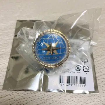 호시노 이치카 세카라이 5th 링 라이트