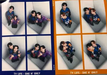 ONE N' ONLY 아마조니아 카드 원엔