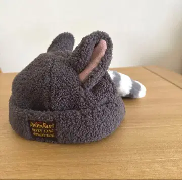 디즈니 아라이 로스트 키즈 팬캡 모자