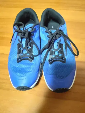 GIRAUDM 파랑 스포츠 스니커즈