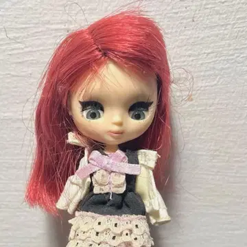 미니 브라이스 커스텀 본체