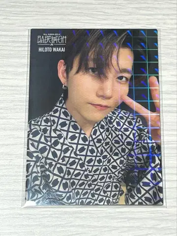 Mrs. GREEN APPLE 바벨099 와카이 히로토 레어 포토 카드