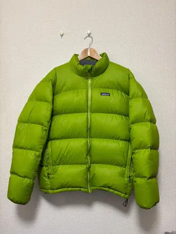 Patagonia 피츠로이 다운 자켓 게코 그린