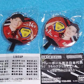 배구 남자 일본 대표 부채 아크릴 참