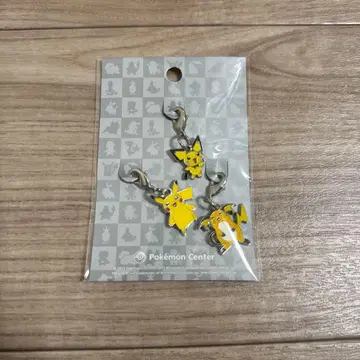 전국 도감 메탈 참 172.025.026 (피츄 진화계)