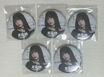 하나미야 하츠나 텐로군 뱃드가루 캔뱃지 5개 세트