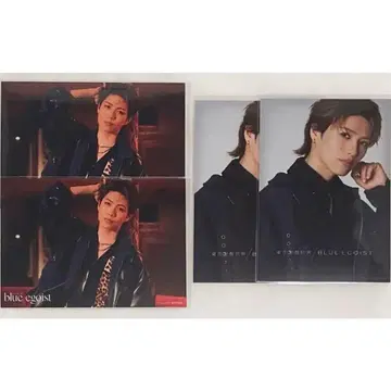 타테이시 토시키 blueegoist 랜덤 브로마이드