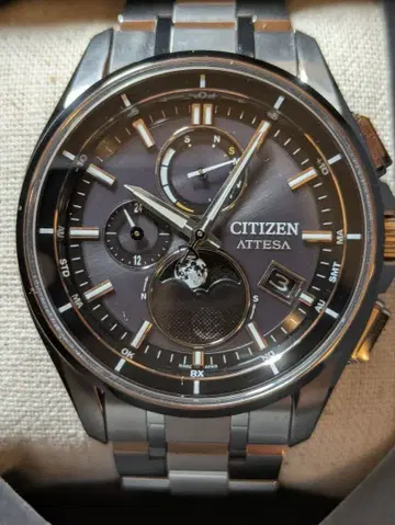 Citizen 아테사 문페이즈 BY1001-66E