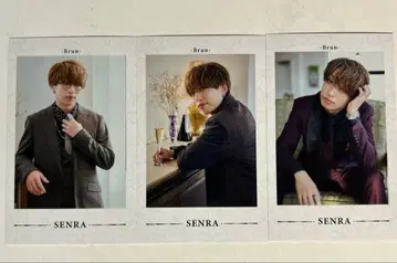 센라 미니 포토 카드 포토카 Brun