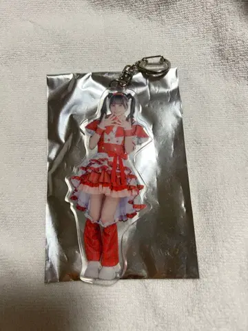 히비니코리 아크릴 키링