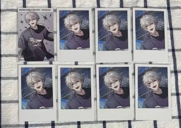 니지산지 쿠츠하 SitR 요코하마 폴라로이드