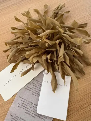 FABIANA FILIPPI 올리브 플라워 코사지