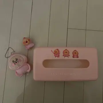 KAKUREMOMOJI 카쿠레모모지리