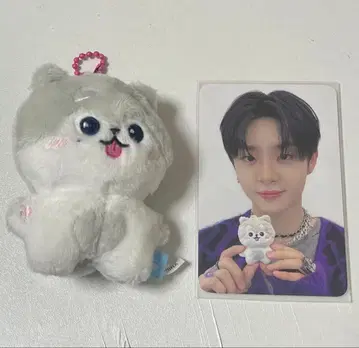 지훈 funny treasure 즉시 구매