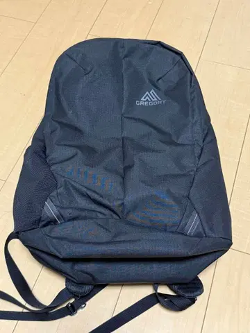 GREGORY 백팩 루나 22