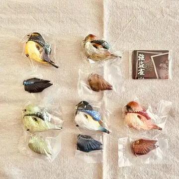 [전 5종 컴프 세트] 강도새 가챠가챠