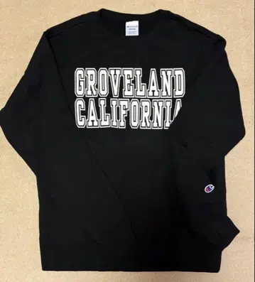 Champion GROVELAND CALIFORNIA 트레이닝복
