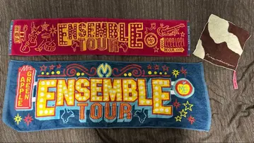 Mrs. GREEN APPLE 타월 손수건