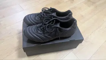 모렐리아 2 JAPAN LTD