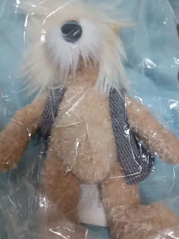 슈타이프 아인슈타인 테디베어