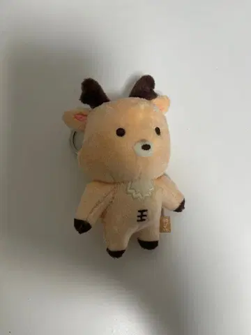 riize 성찬 봉제 인형