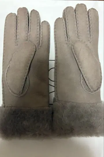 장갑 EMU Australia