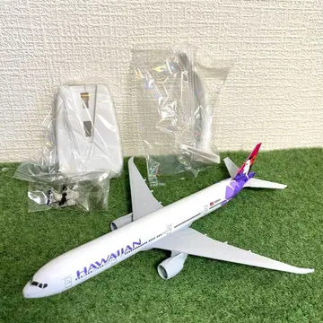 하와이안 항공 에어플레인 모델