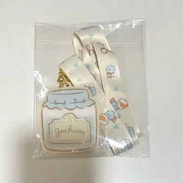 JOCHUM 마이크 넥스트랩