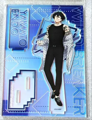 WIND BREAKER 오로라 아크릴 스탠드