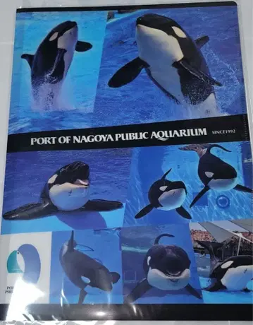나고야항 수족관 더블 포켓 클리어 파일 범고래 린 어스 거북 돌고래