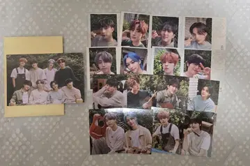 스키즈 네시픽 비건 버터 밤 트레이딩 카드