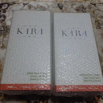 1/6 KARA 미스터 피규어 2체 세트