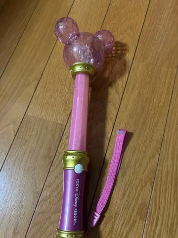 디즈니 리조트 라이트