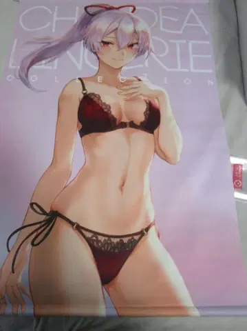 고양이 신사 / 토모에 고젠 태피스트리 마슈 FGO