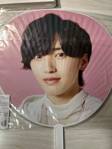 시슌스케 미치에다 부채