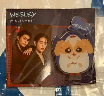 WESLEY 아크릴 클립 스탠드 WilliamEst Fancon