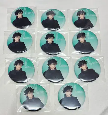 주술회전 후시구로 메구미 class photo 캔뱃지