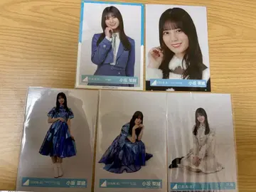 코사카 나오 브로마이드 5장 세트