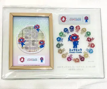 간사이 만박 미야쿠미야쿠 유리 포토 프레임 컬러풀 사진 액자 새상품