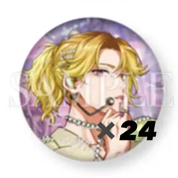 파라라이 토마 5주년 캔뱃지 24개