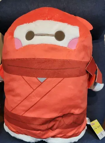 베이맥스 나란히 도미 프렌즈