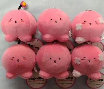 타코피 마스코트 봉제 인형 6개 세트