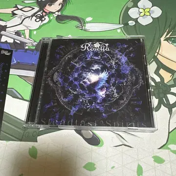 Steadfast Spirits 시리얼과 카드 결품