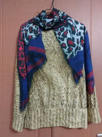 토리이 유키 상의