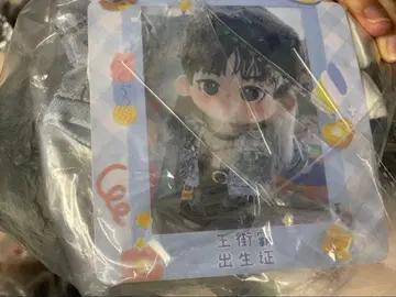 샤오잔 왕이보 봉제 인형 20cm 의류 포함