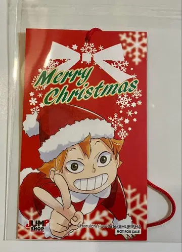 하이큐!! 점프샵 크리스마스 페어 히나타