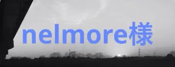 넬모어 님